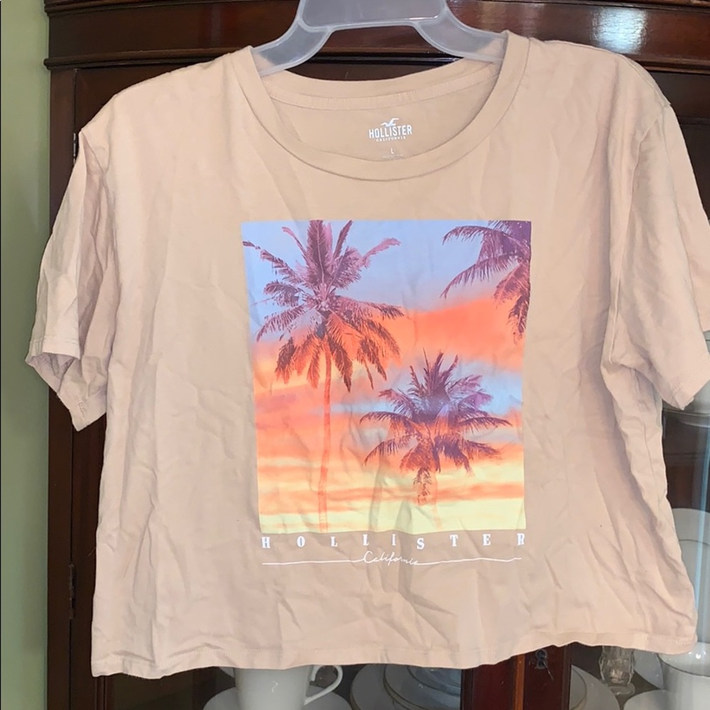 Hollister Cropped Top